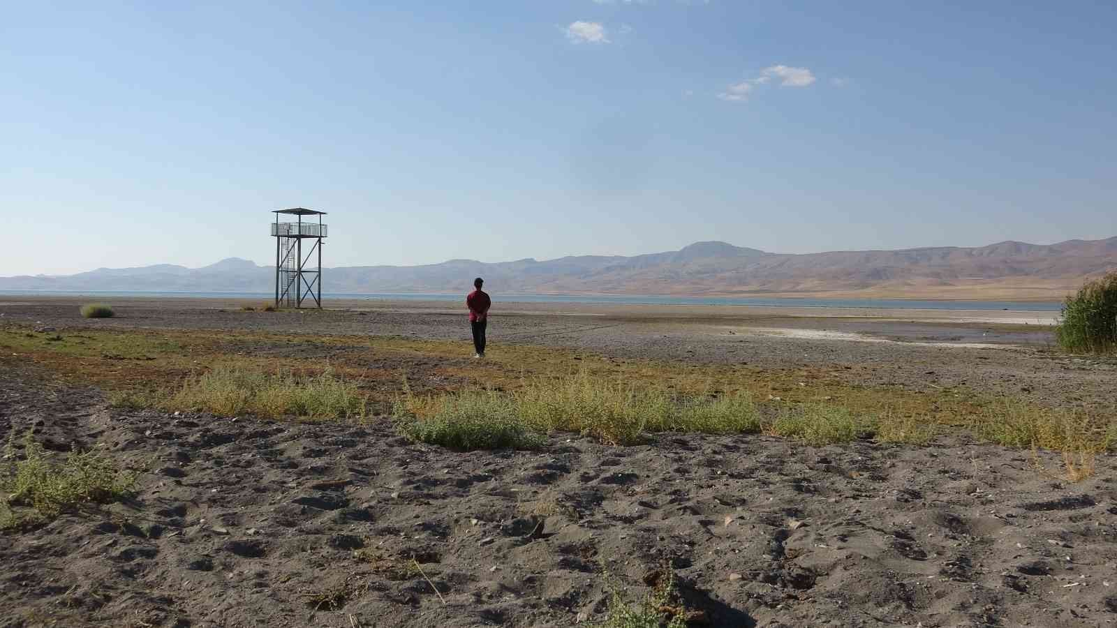 Kuş cenneti Erçek Gölü’nde korkutan su kaybı