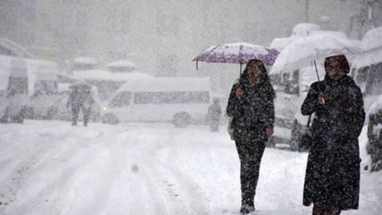 Van'da yoğun kar yağışı hayatı olumsuz etkiledi