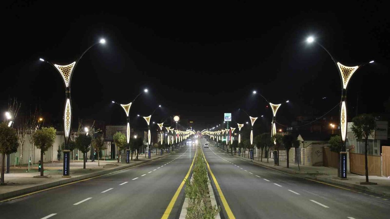 Van Büyükşehir Belediyesi çevre farkındalığı için ışıklarını kapatacak