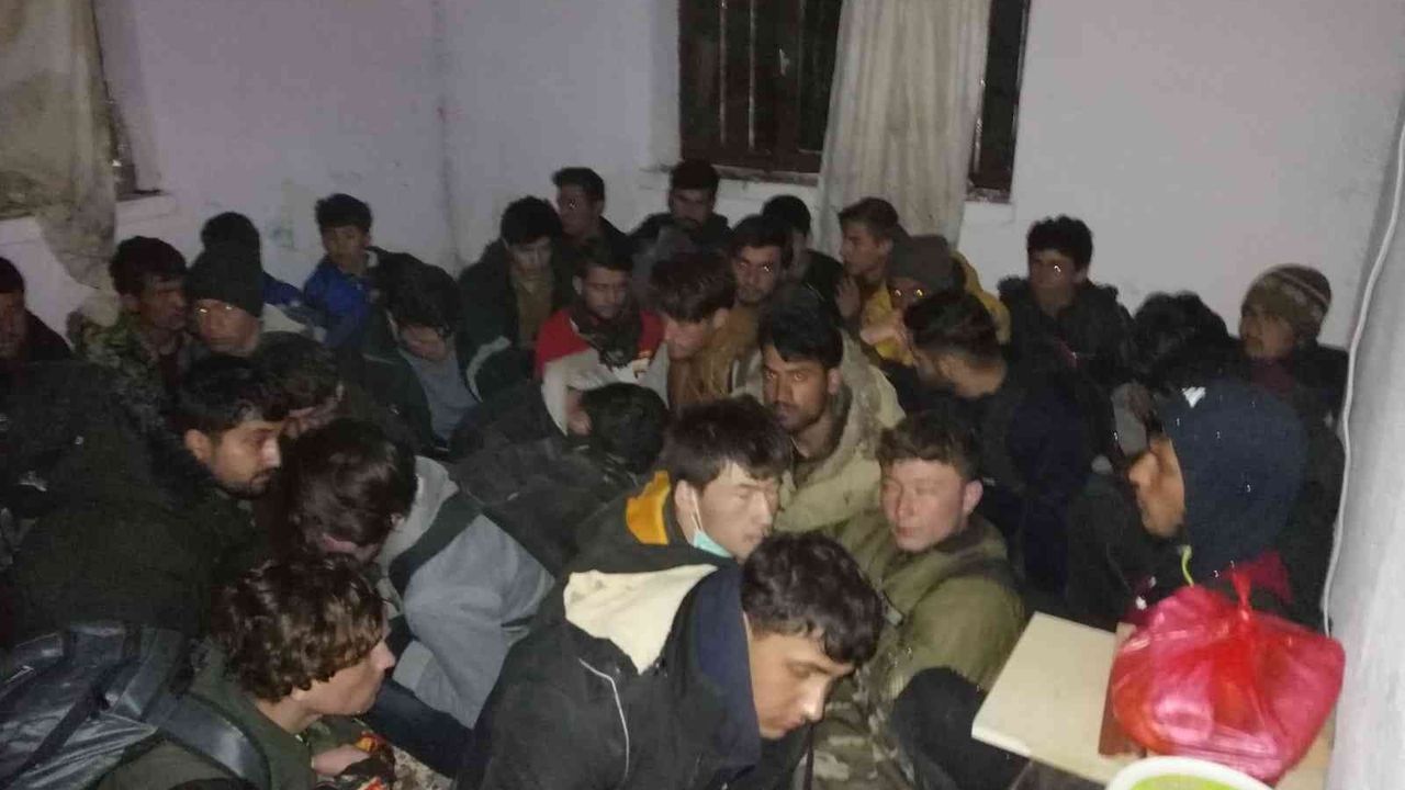 Van’da 50 düzensiz göçmen yakalandı
