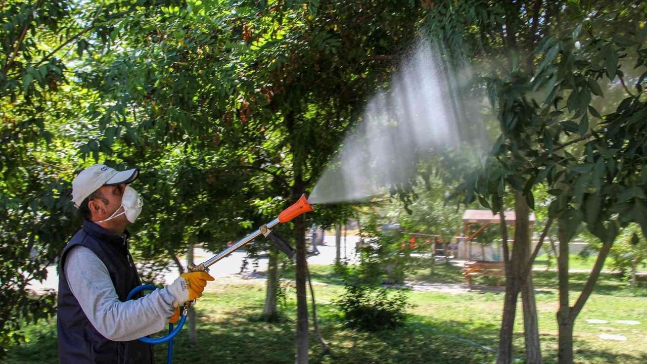 Van’da bayram öncesi park, bahçe ve mesire alanları ilaçlanıyor