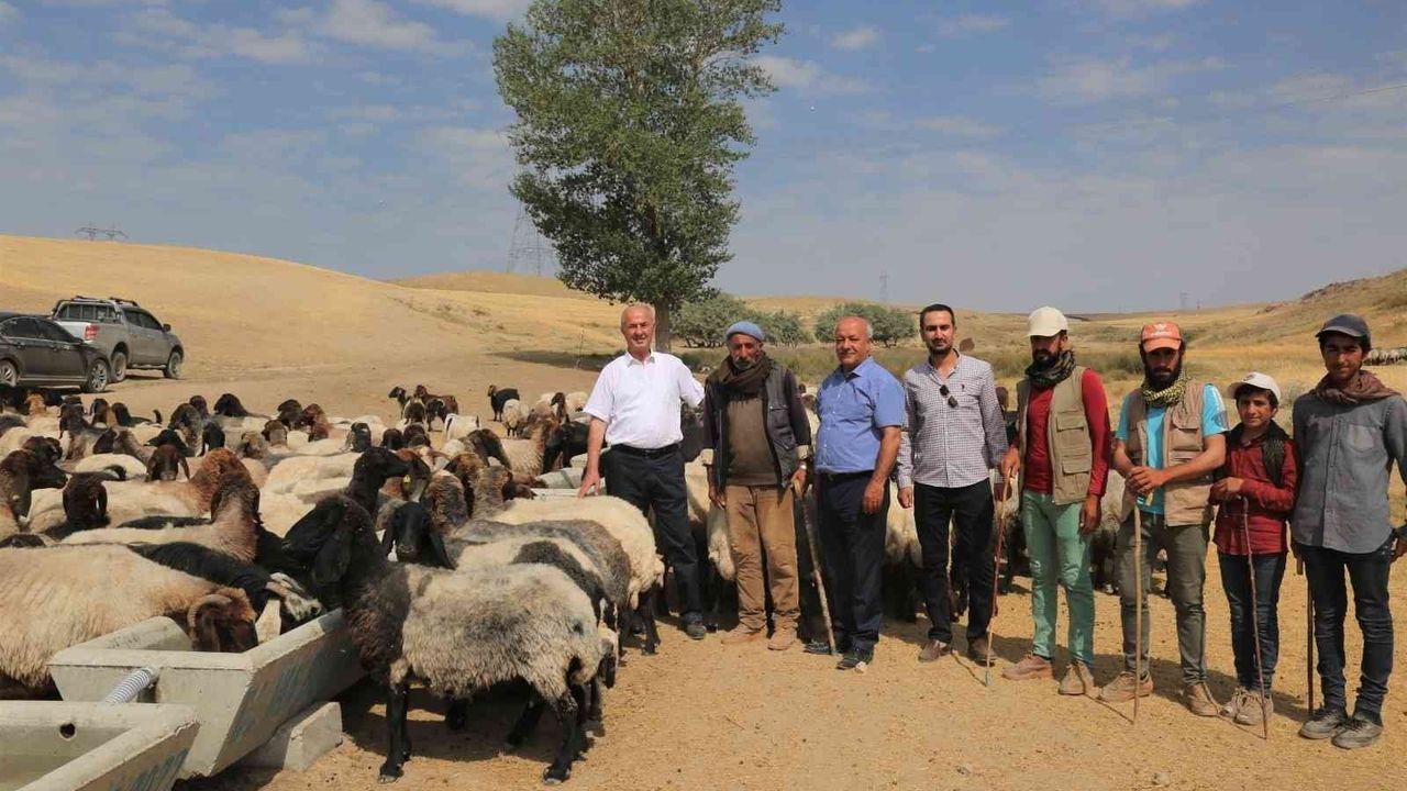 Tuşba Belediyesinden kırsal mahallelere sıvat desteği