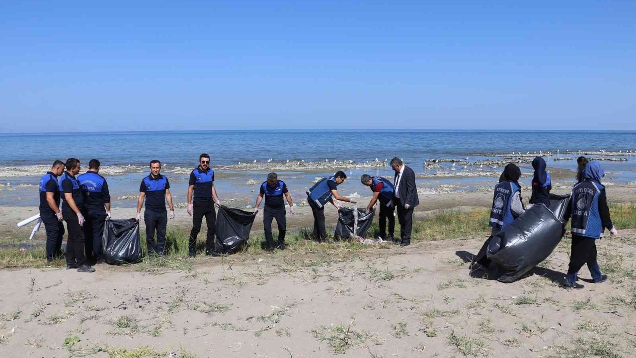Zabıta ekipleri, Van Gölü sahilinde temizlik çalışması yaptı
