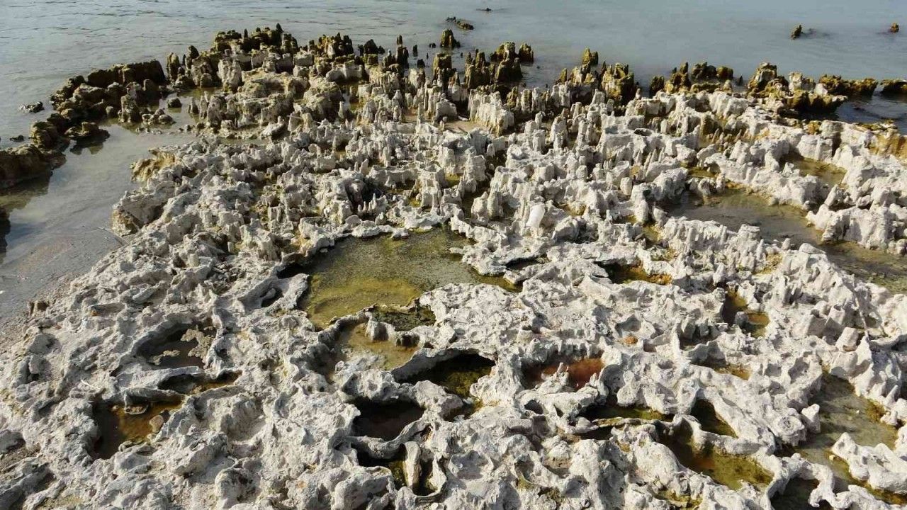 Sular çekilince Van Gölü’ndeki mikrobiyalitler ortaya çıktı