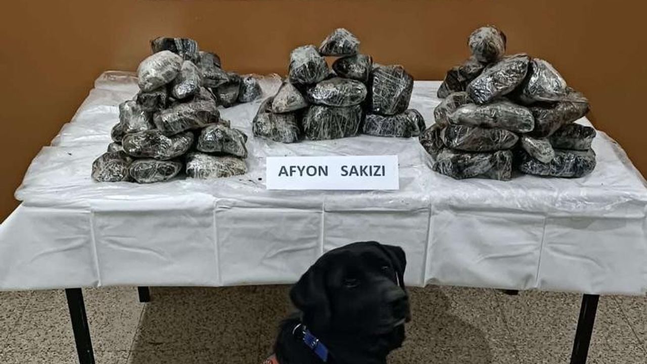 Van’da 33 kilo Afyon Sakızı ele geçirildi