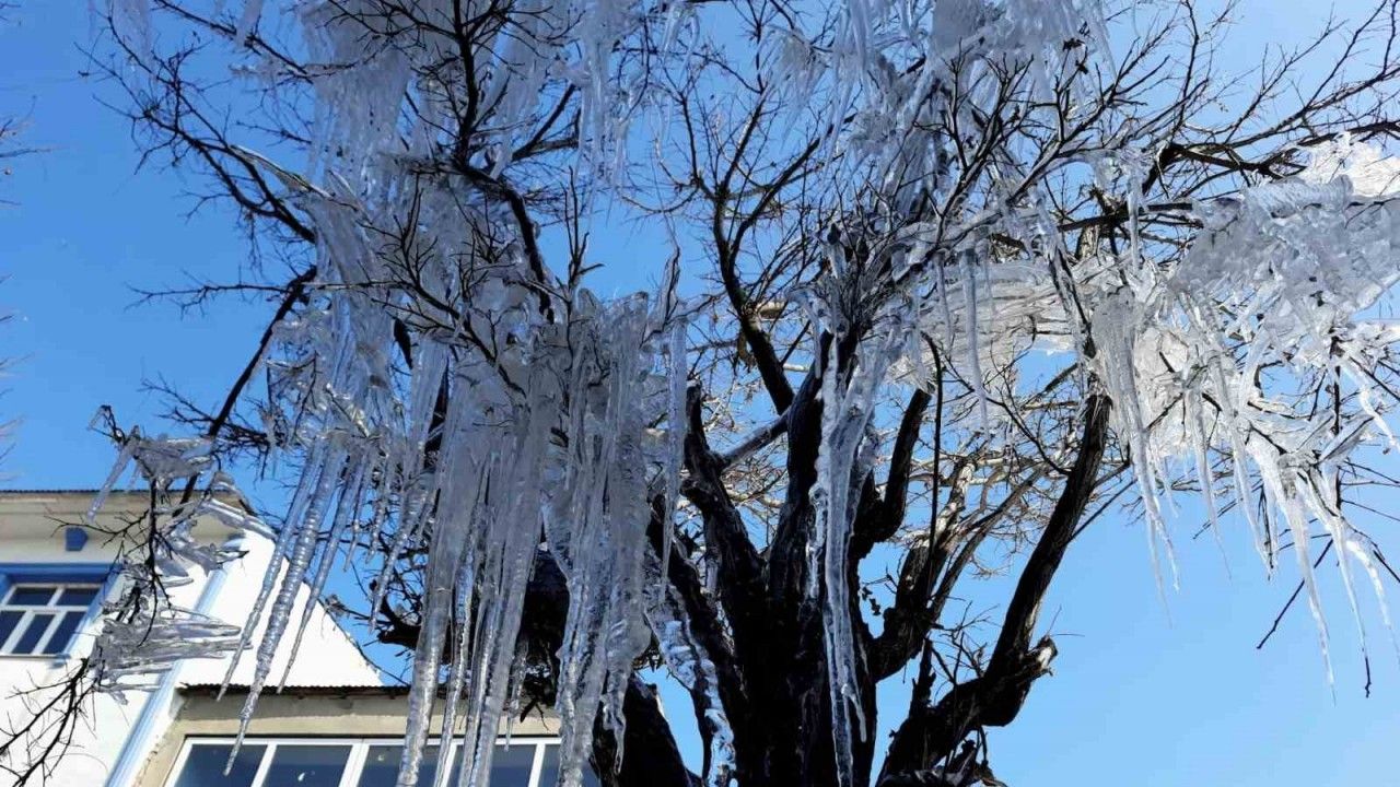 Özalp ilçesinde ağaçlar buz tuttu