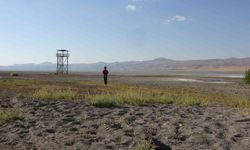 Kuş cenneti Erçek Gölü’nde korkutan su kaybı