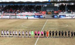TFF 2. Lig: Vanspor FK: 2 - İskenderunspor: 0